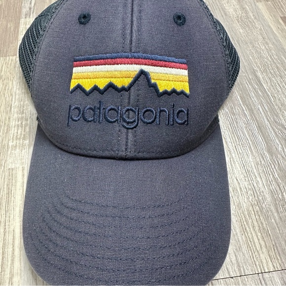 Patagonia Other - Patagonia Line Logo Ridge LoPro Trucker Adjustable Back Hat